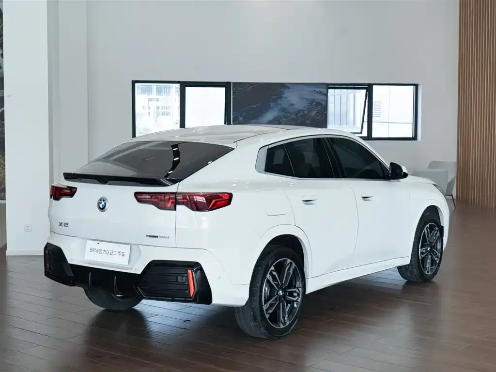 BMW X2 (Import) 2025 из CN, фото 5