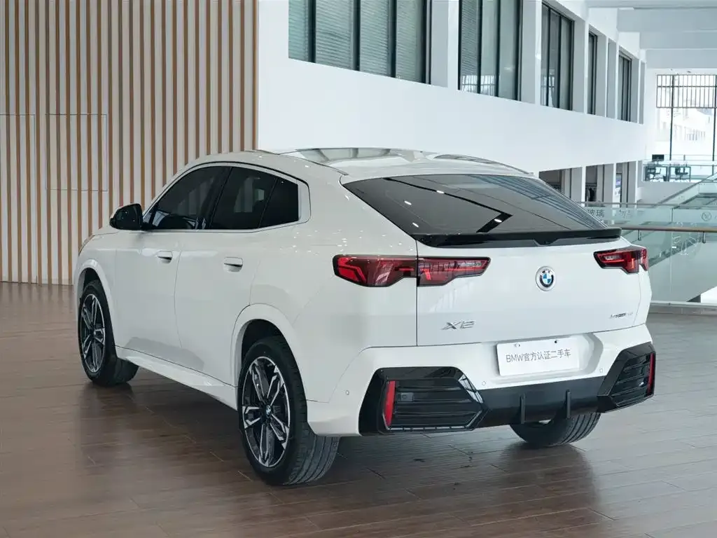 BMW X2 (Import) 2025 из CN, фото 6