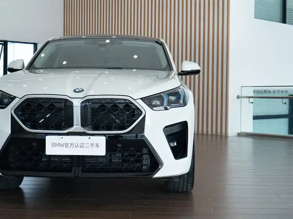 BMW X2 (Import) 2025 из CN, фото 9