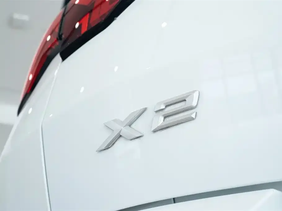 BMW X2 (Import) 2025 из CN, фото 3