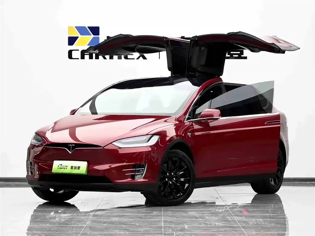 Tesla Model X 2021 из CN, фото 2