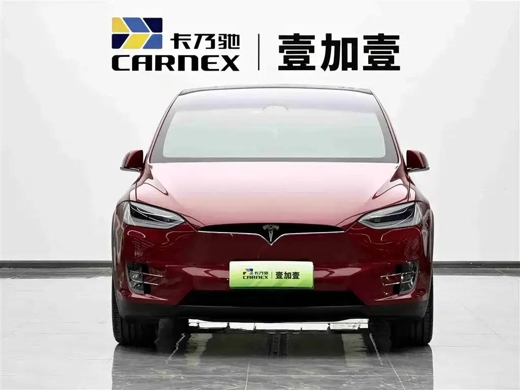 Tesla Model X 2021 из CN, фото 3