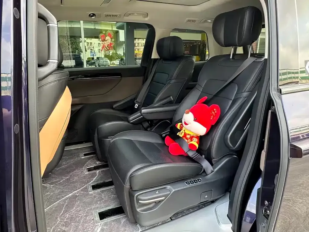 GAC Motor E8 Hybrid 2024 из CN, фото 6