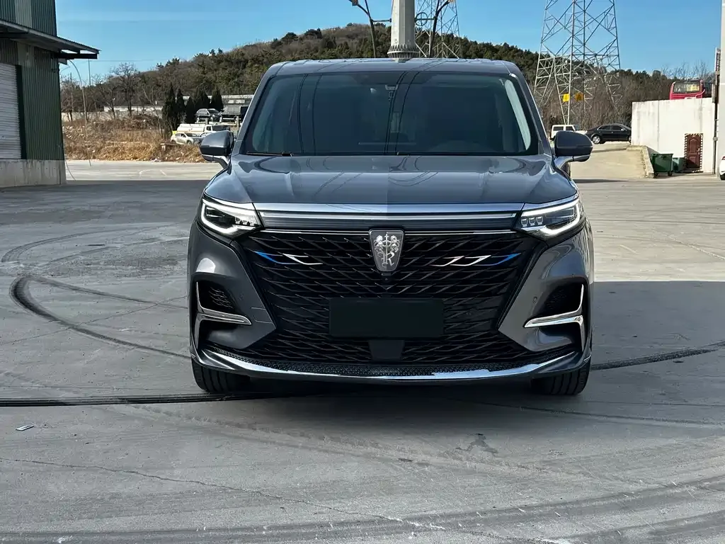 Roewe iMAX8 2021 из CN, фото 3