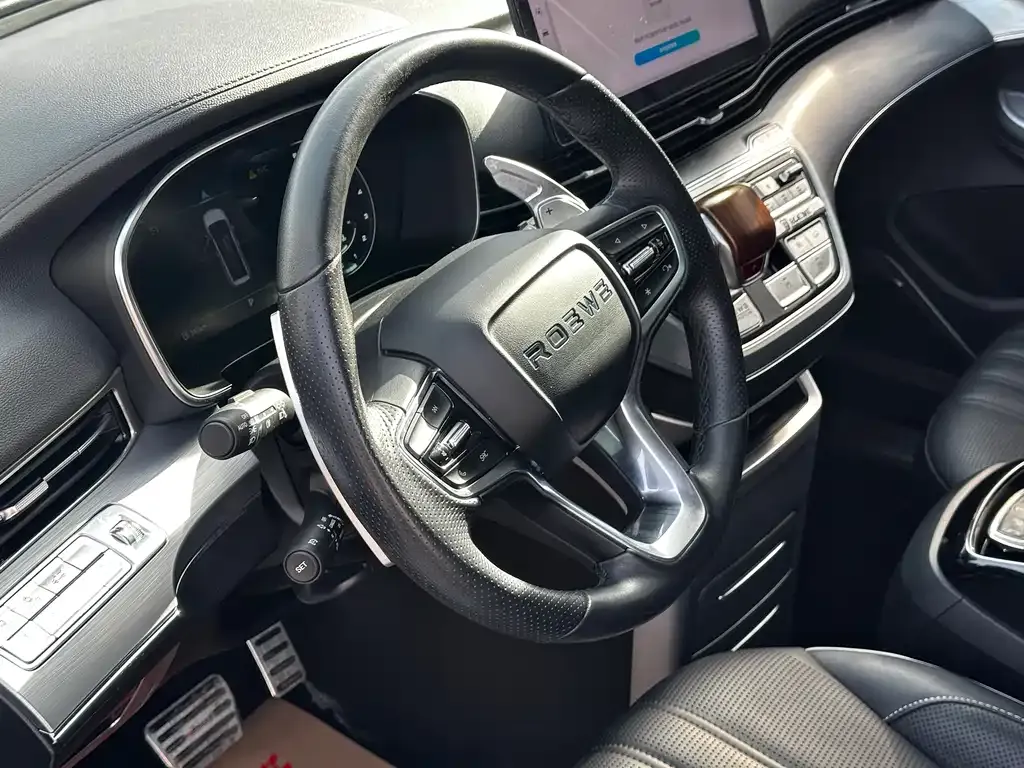 Roewe iMAX8 2021 из CN, фото 4