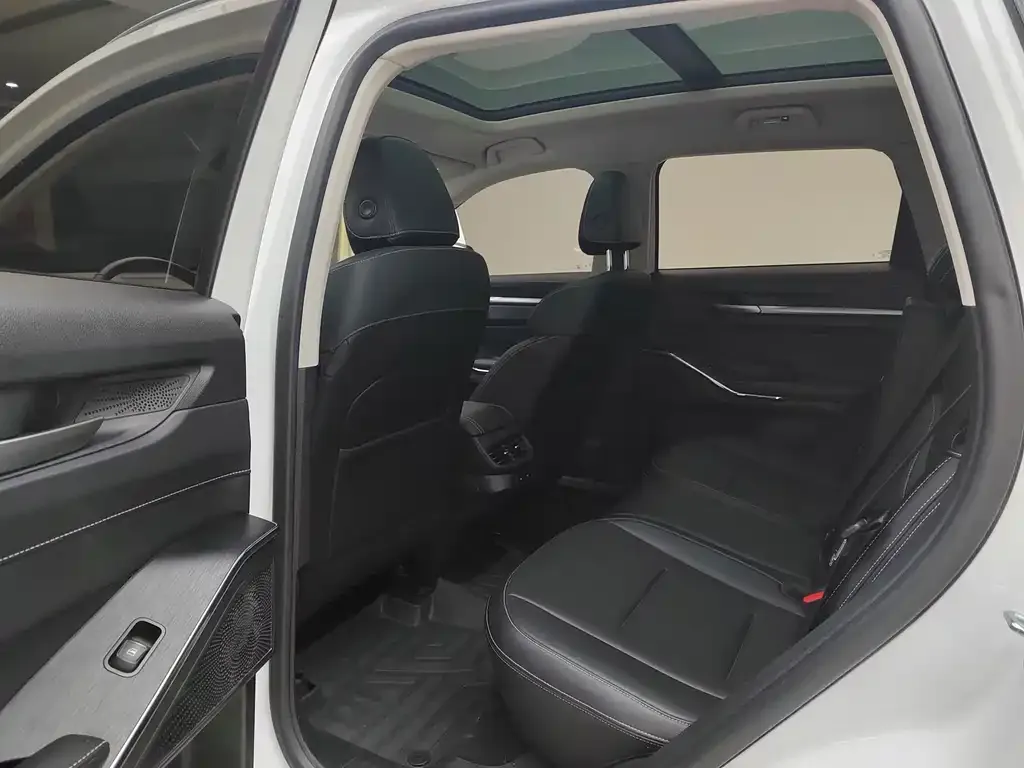Haval H6 New Energy 2024 из CN, фото 10
