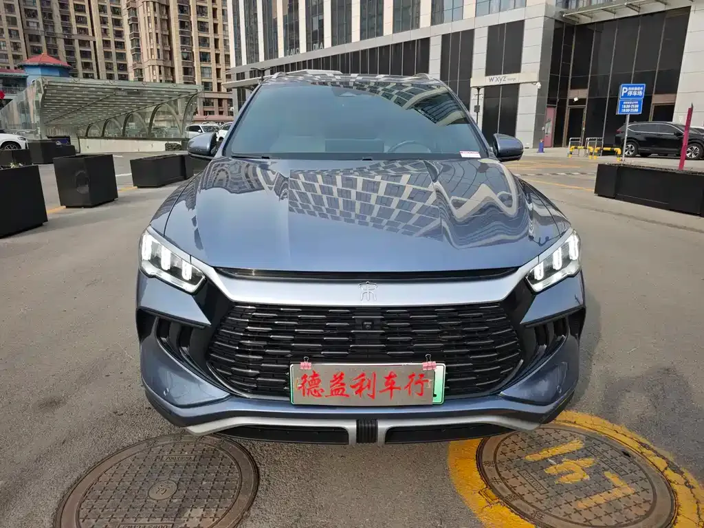 BYD Pro New Energy 2023 из CN, фото 3