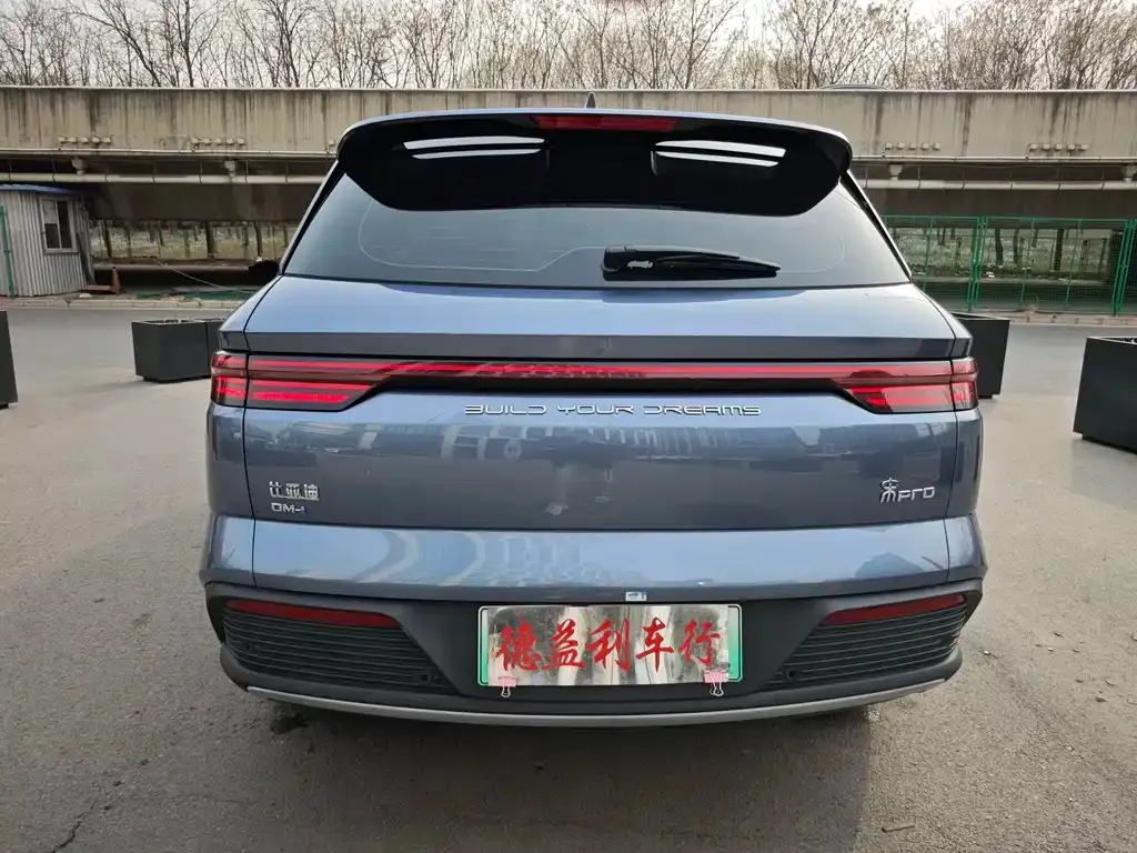 BYD Pro New Energy 2023 из CN, фото 8