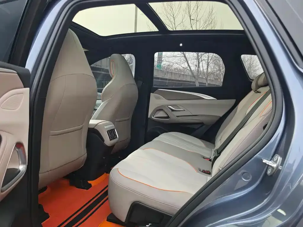 BYD Pro New Energy 2023 из CN, фото 5