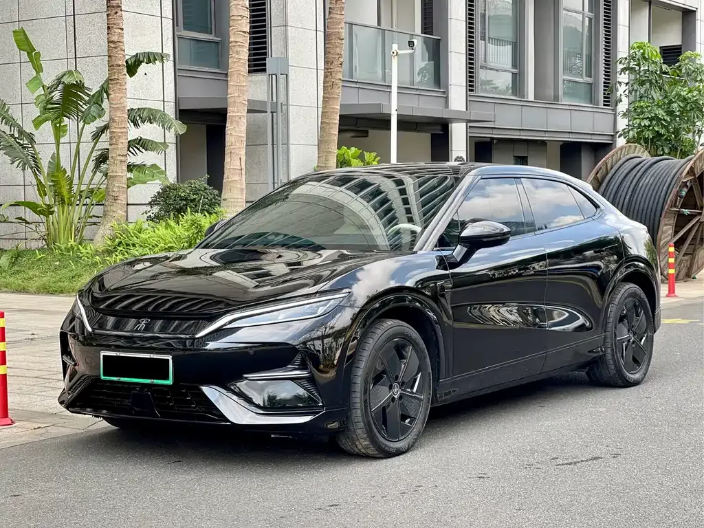 BYD L EV