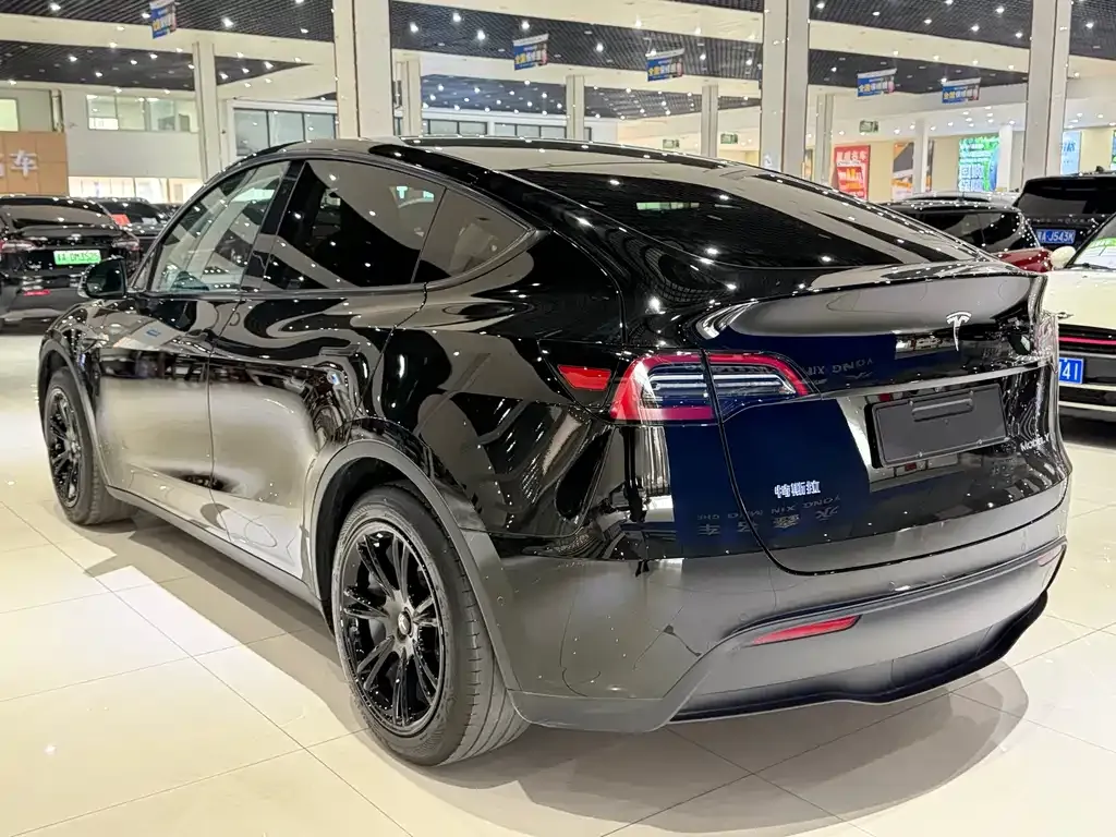 Tesla Model Y — фото 3