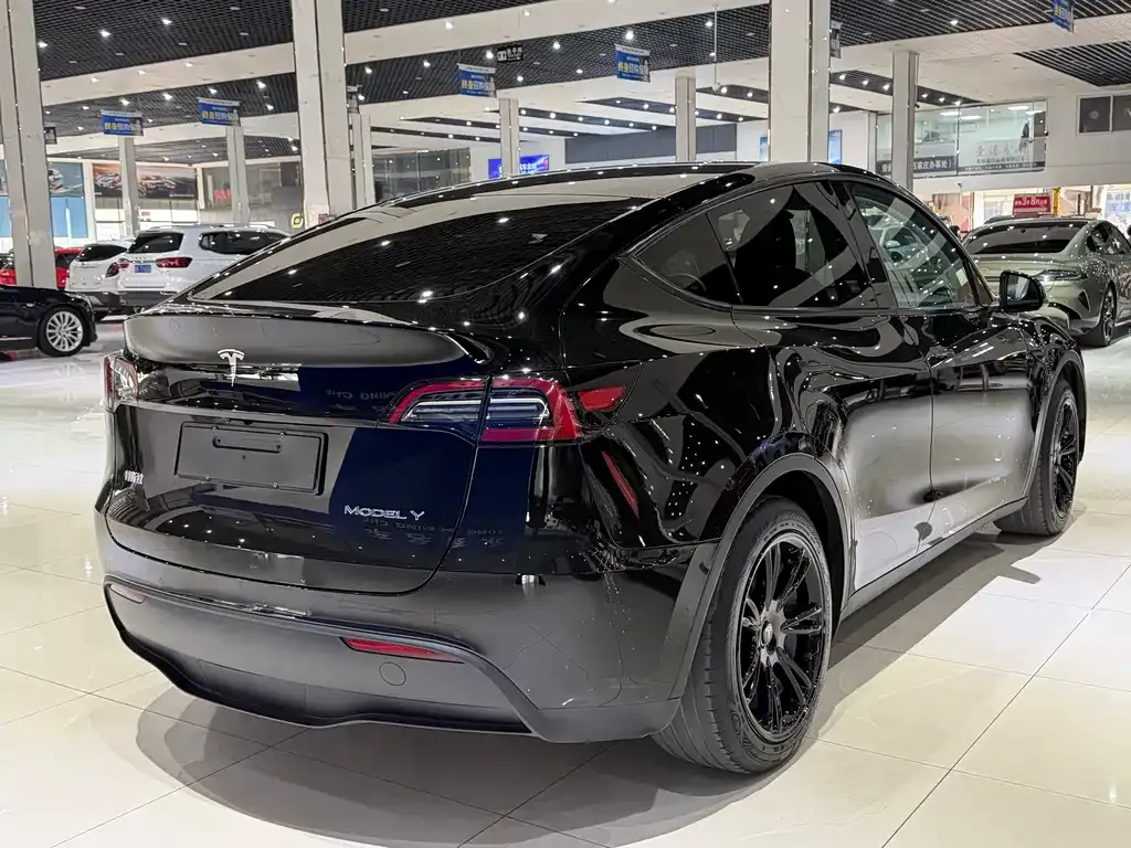 Tesla Model Y — фото 9