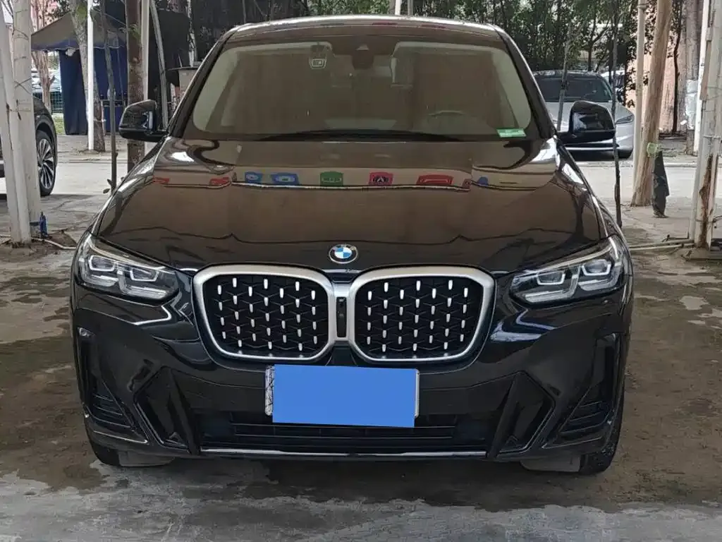 BMW X4 2022 из CN, фото 1