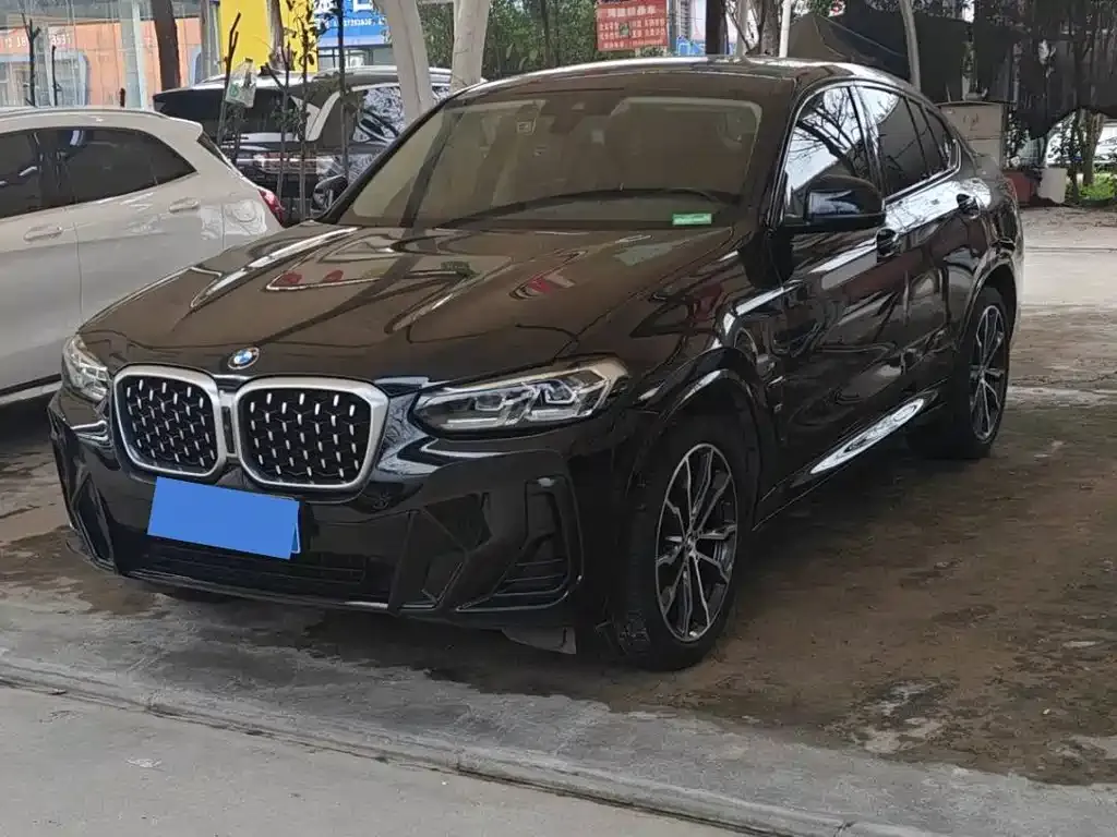 BMW X4 2022 из CN, фото 7