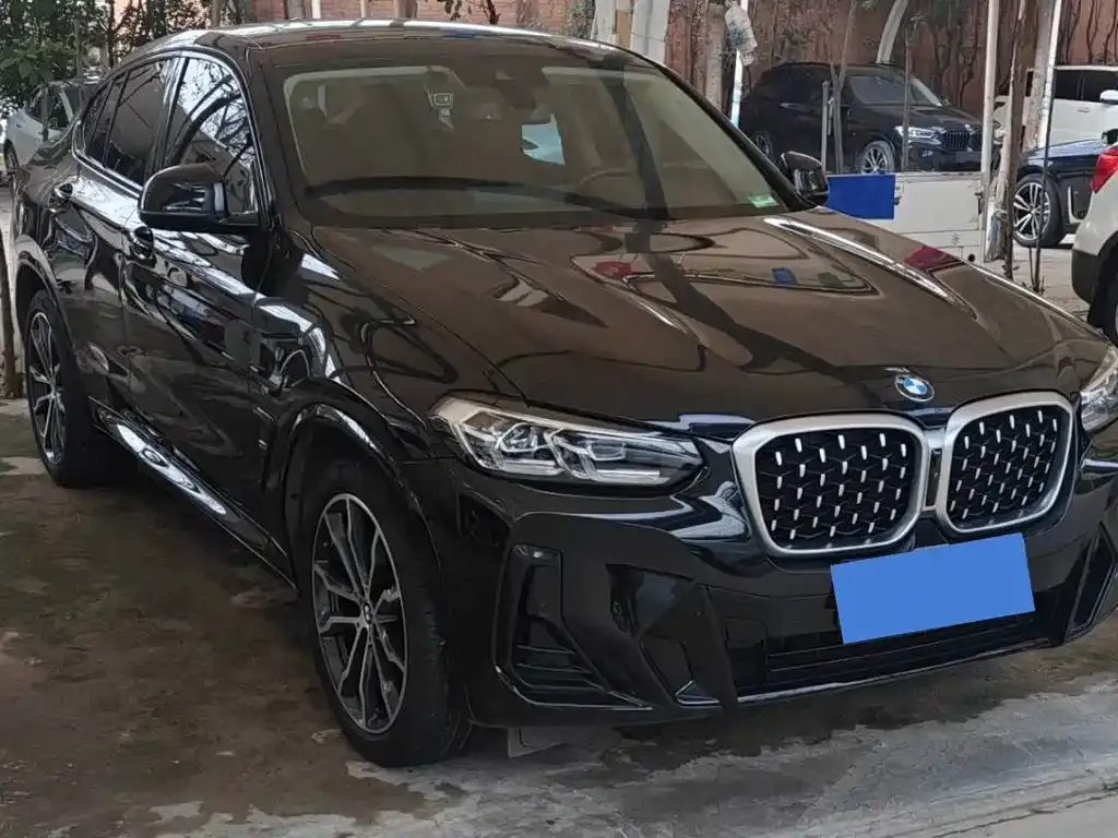 BMW X4 2022 из CN, фото 6