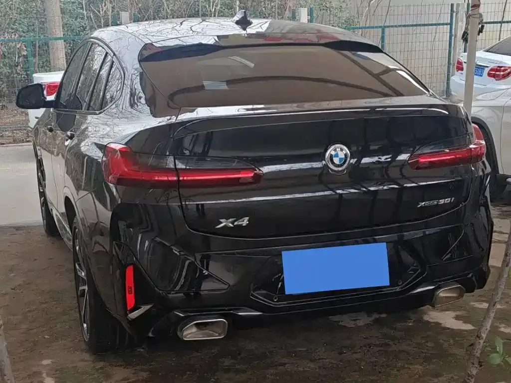 BMW X4 2022 из CN, фото 5