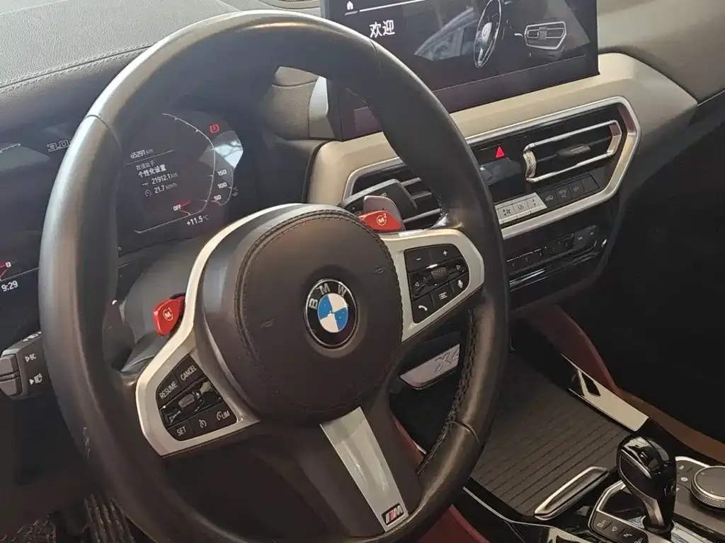 BMW X4 2022 из CN, фото 8