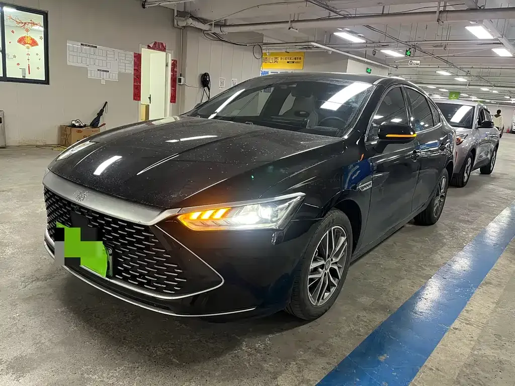 BYD Qin PLUS — фото 1
