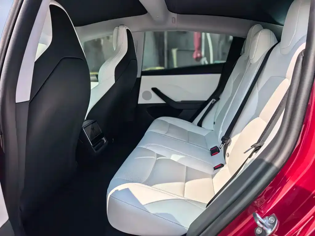 Tesla Model 3 2025 из CN, фото 5