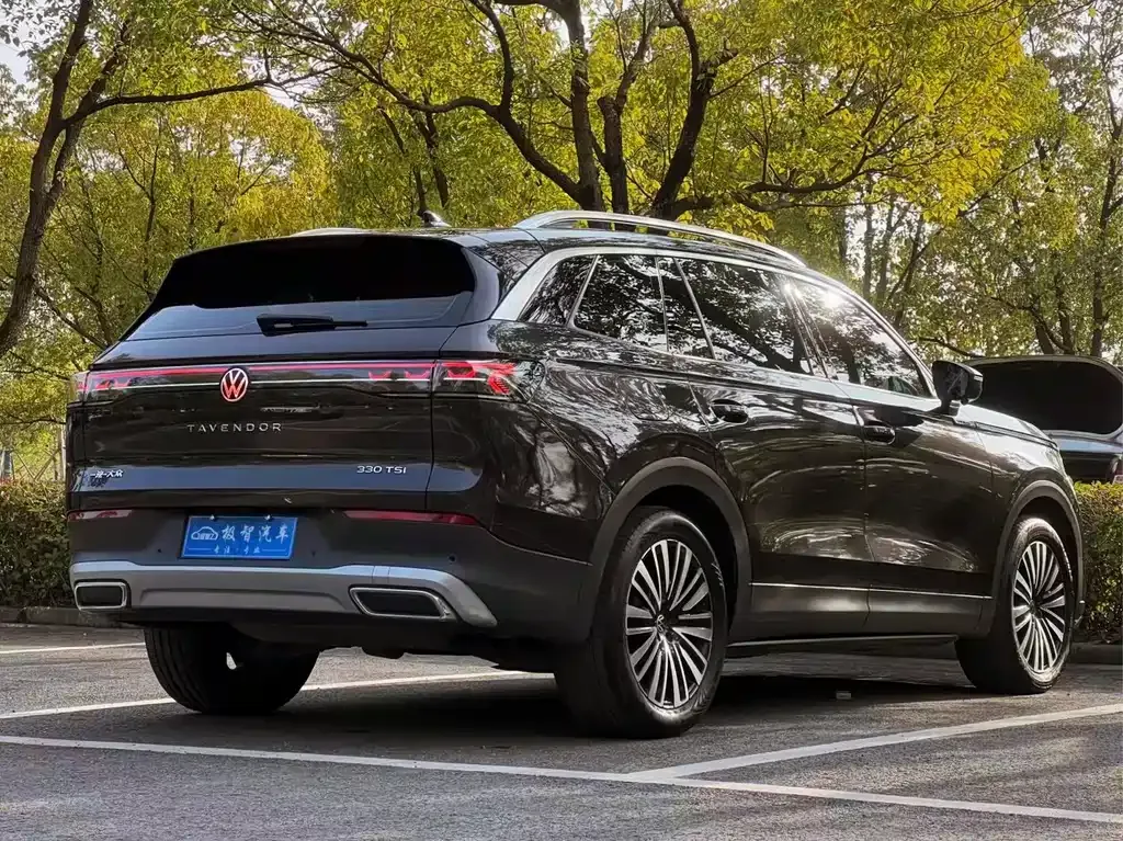 Volkswagen Tavendor 2023 из CN, фото 8