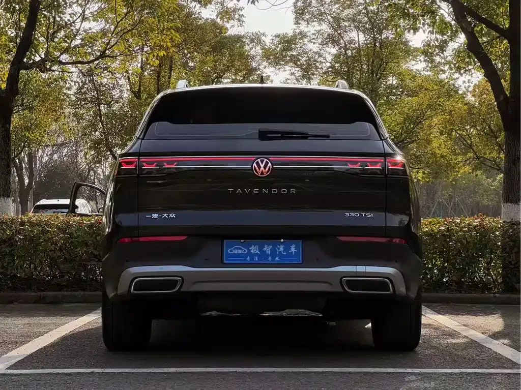Volkswagen Tavendor 2023 из CN, фото 7