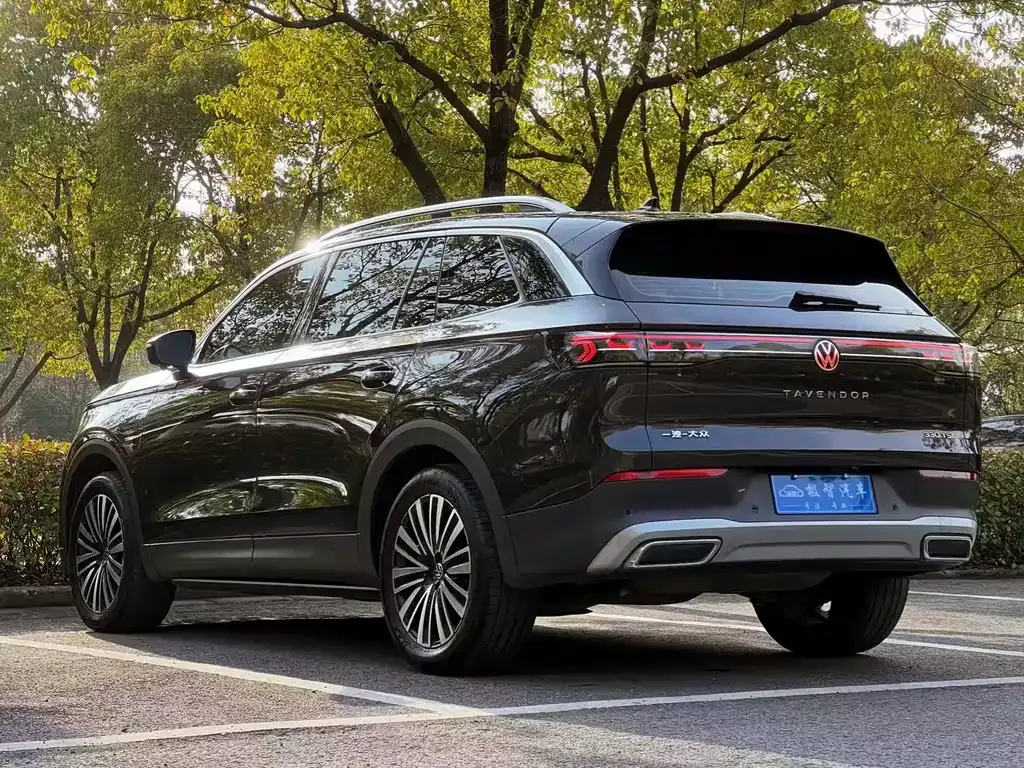 Volkswagen Tavendor 2023 из CN, фото 9