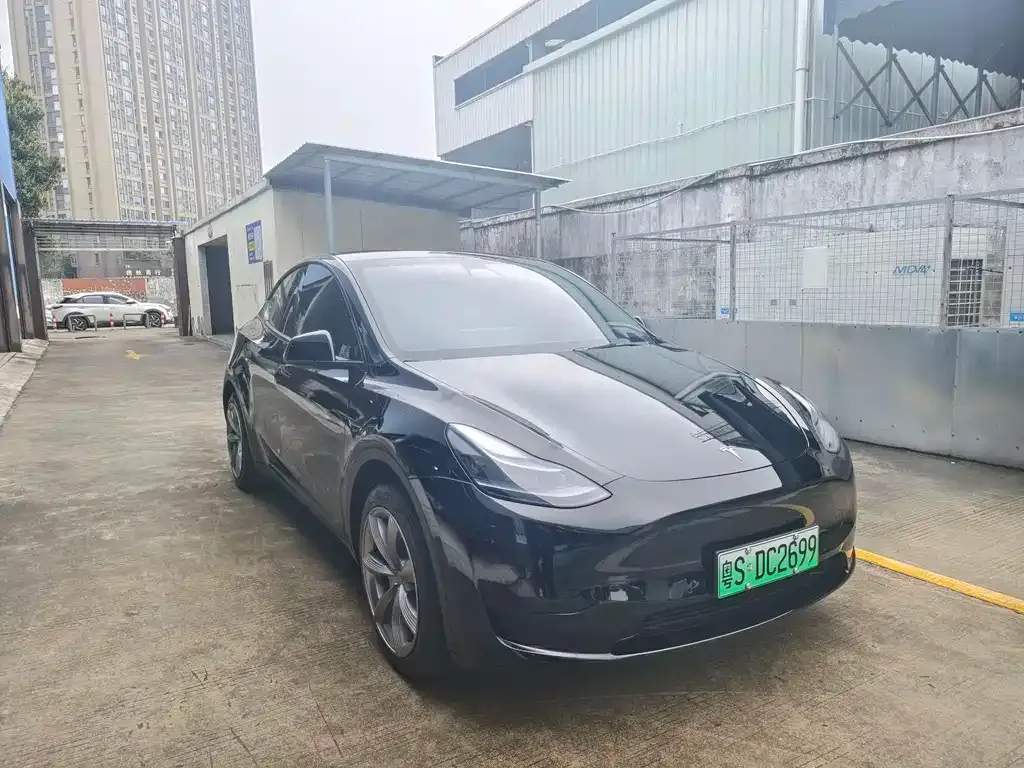 Tesla Model Y 2022 из CN, фото 4