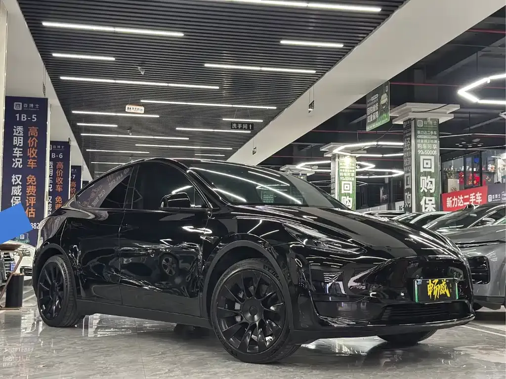 Tesla Model Y 2023 из CN, фото 8