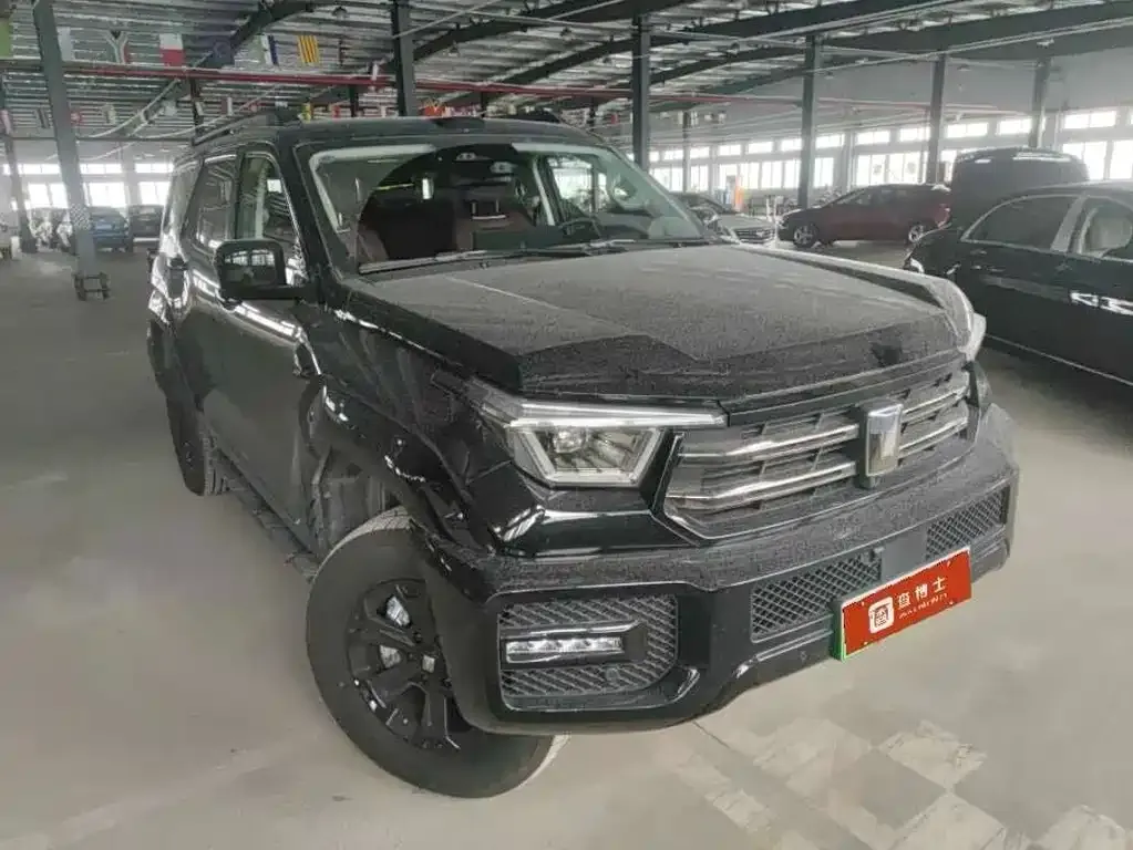 Tank 400 New Energy 2026 из CN, фото 2