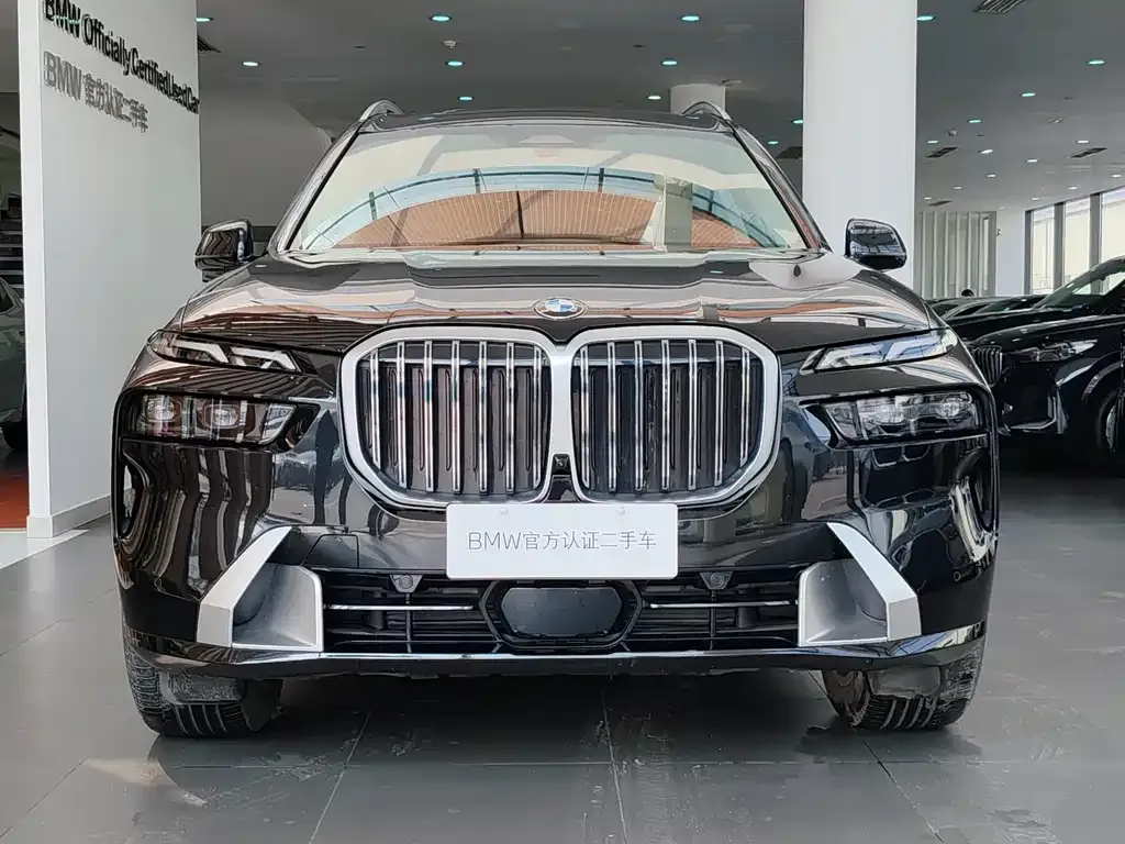 BMW X7 — фото 2