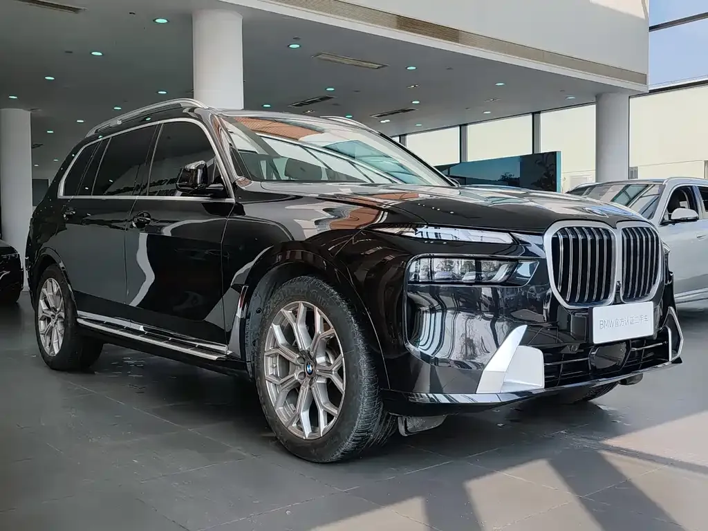 BMW X7 — фото 8