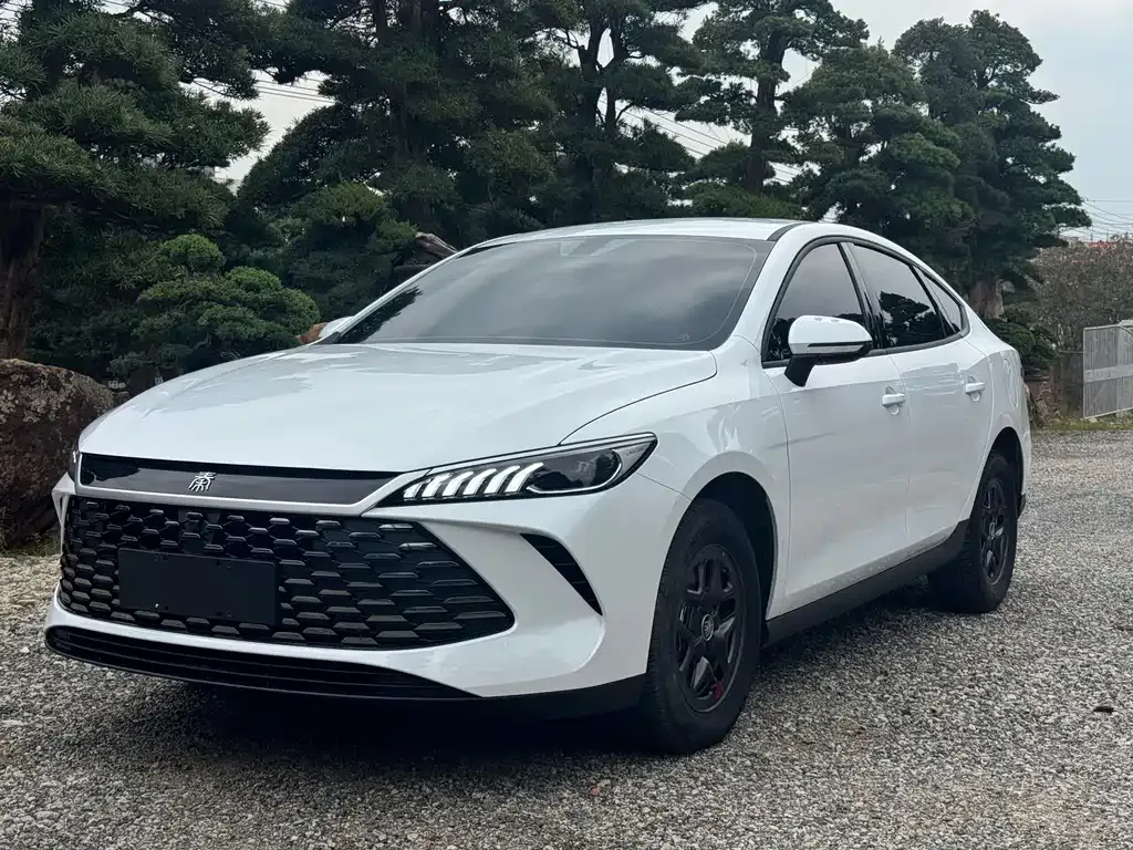 BYD Qin PLUS — фото 1