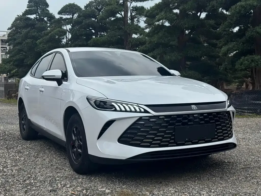 BYD Qin PLUS — фото 7