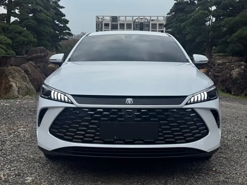 BYD Qin PLUS — фото 4