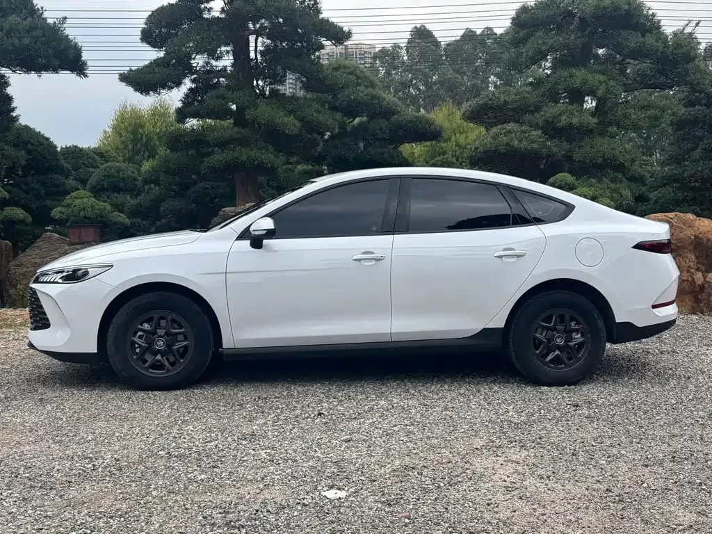 BYD Qin PLUS — фото 9
