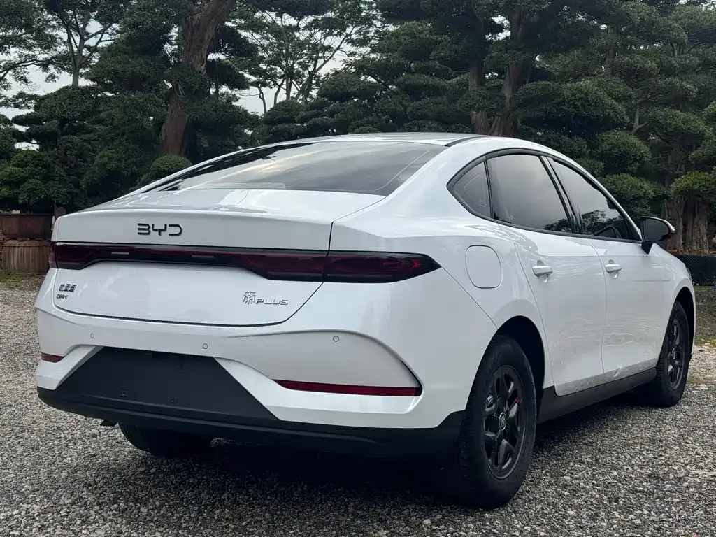 BYD Qin PLUS — фото 6