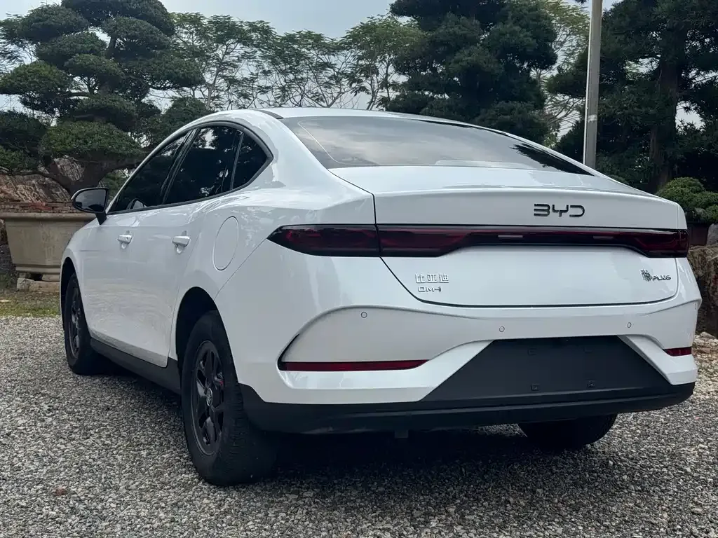 BYD Qin PLUS — фото 5