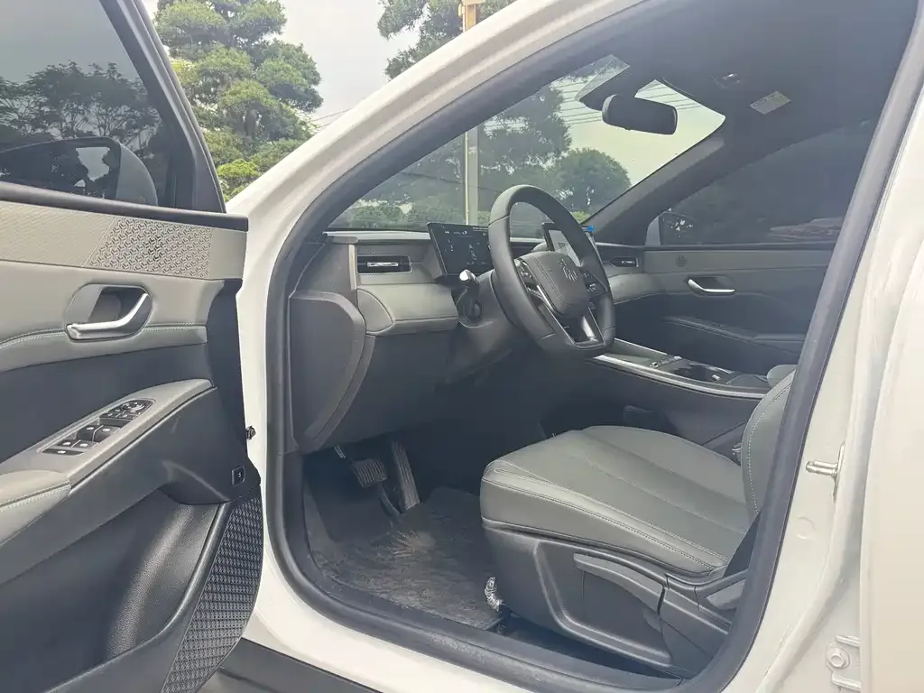 BYD Qin PLUS — фото 10
