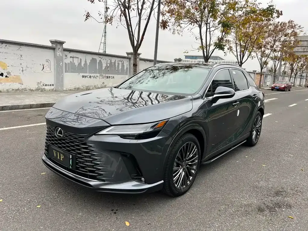 Lexus RX New Energy 2023 из CN, фото 1