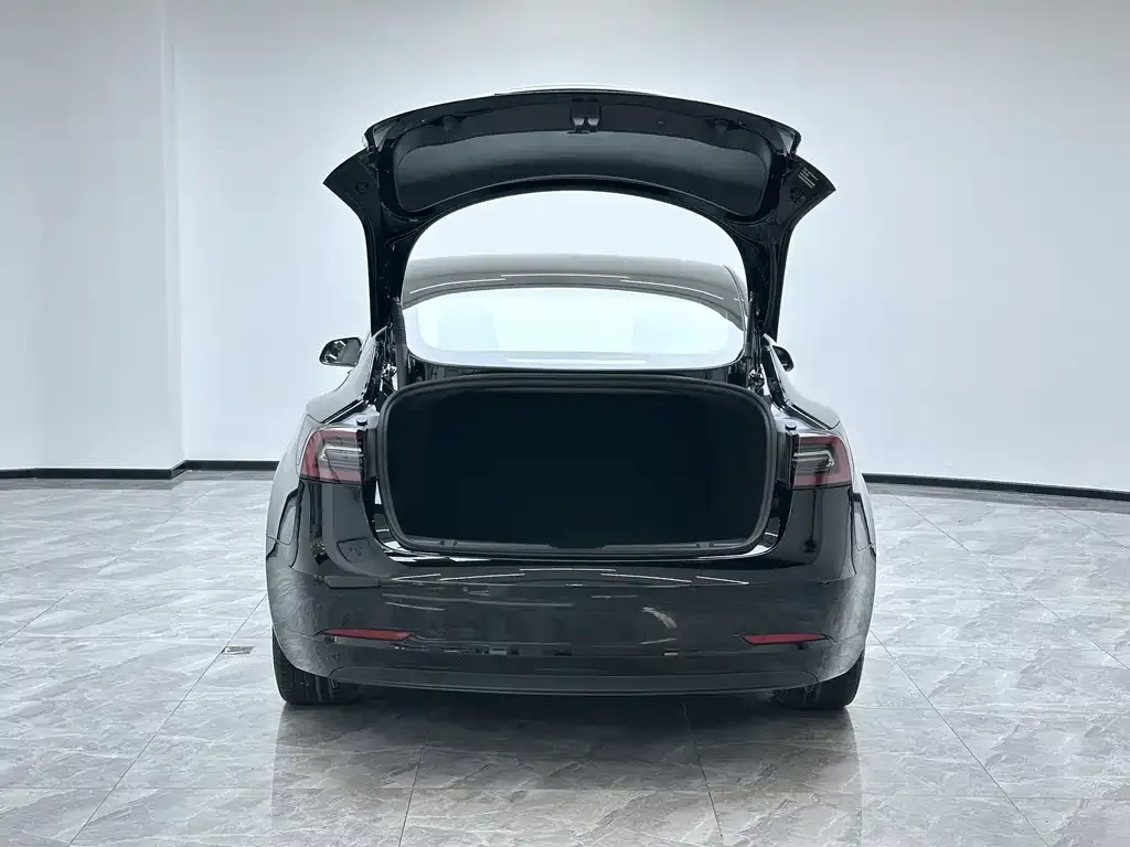 Tesla Model 3 2022 из CN, фото 4