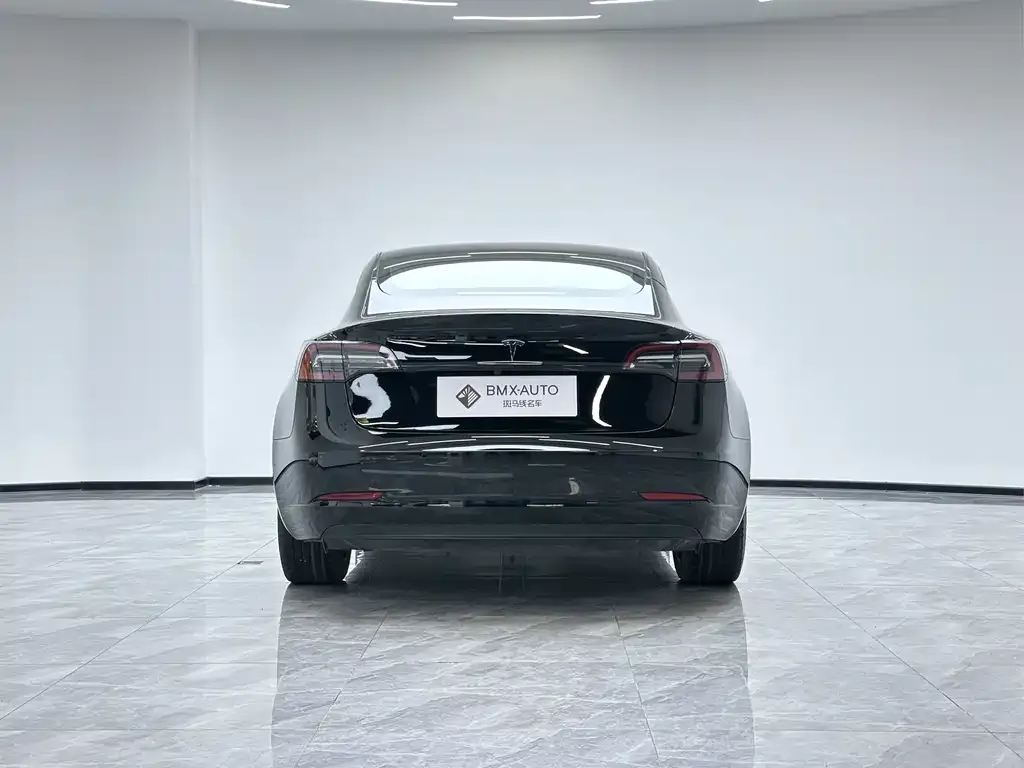 Tesla Model 3 2022 из CN, фото 2