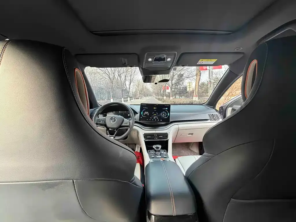 BYD PLUS New Energy — фото 4