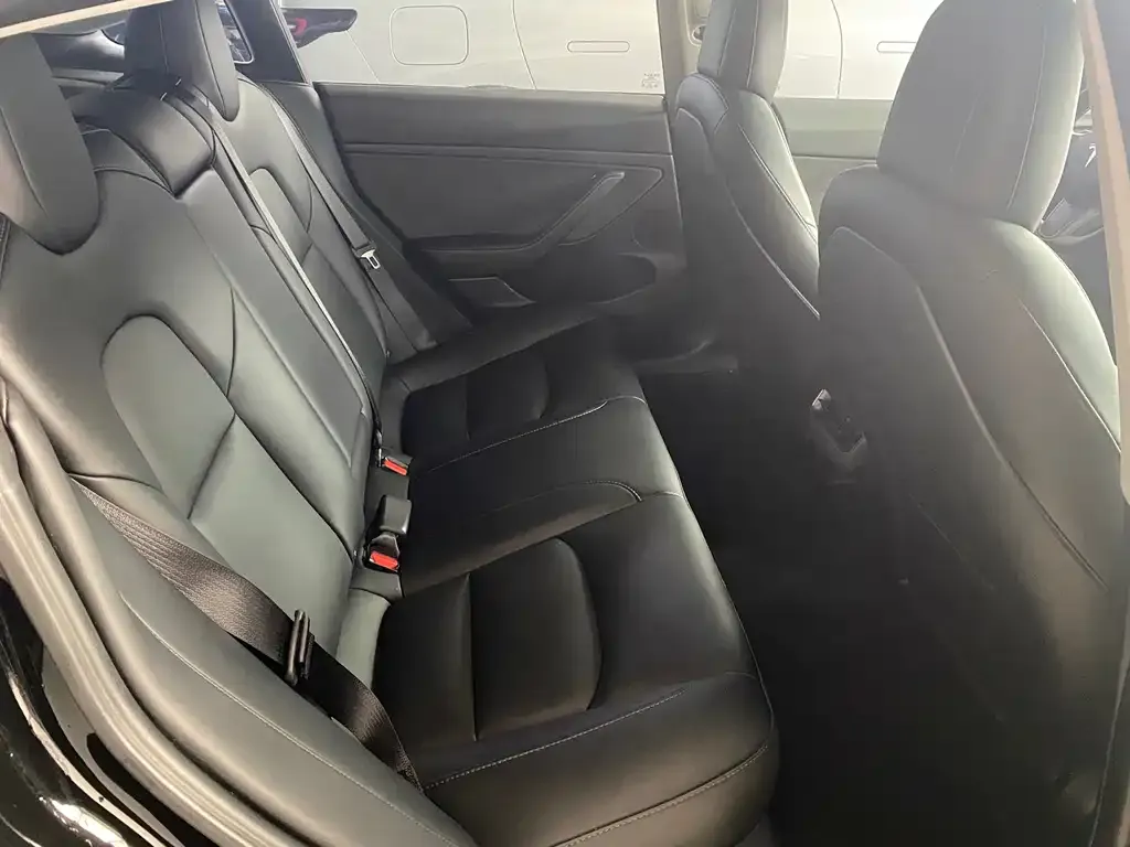 Tesla Model 3 2023 из CN, фото 3
