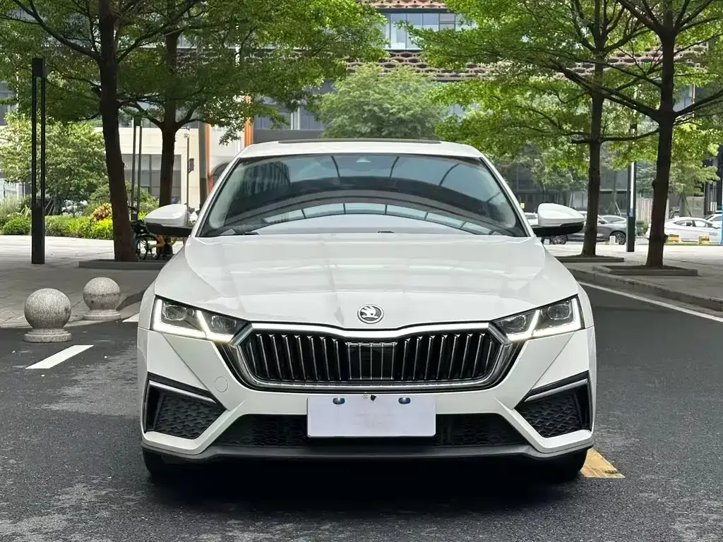 Skoda Octavia 2022 из CN, фото 9