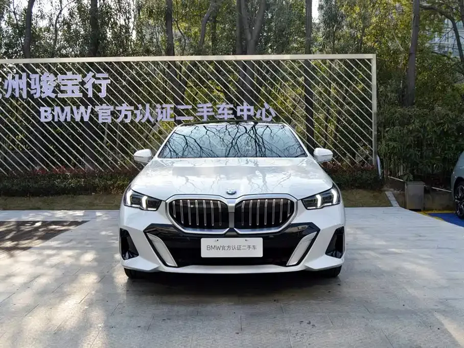 BMW 5 Series 2025 из CN, фото 8