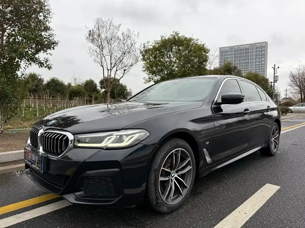 BMW 5 Series 2022 из CN, фото 1