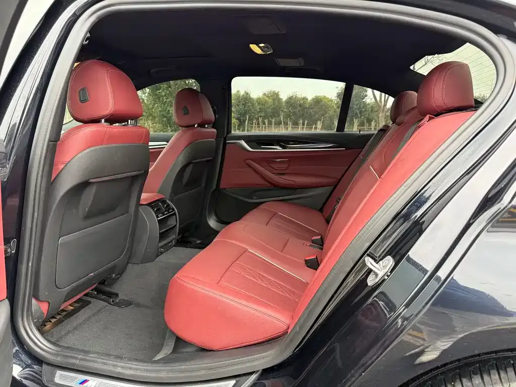 BMW 5 Series 2022 из CN, фото 4
