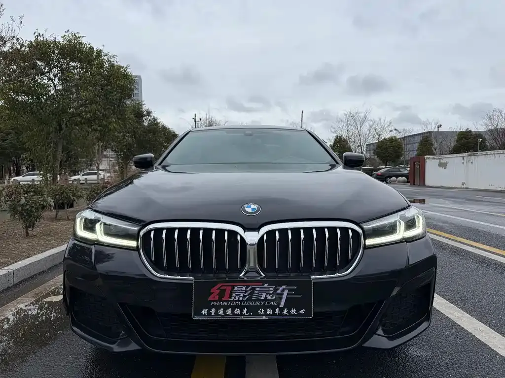 BMW 5 Series 2022 из CN, фото 6