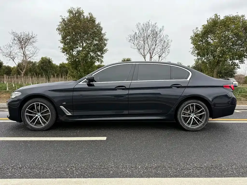BMW 5 Series 2022 из CN, фото 8