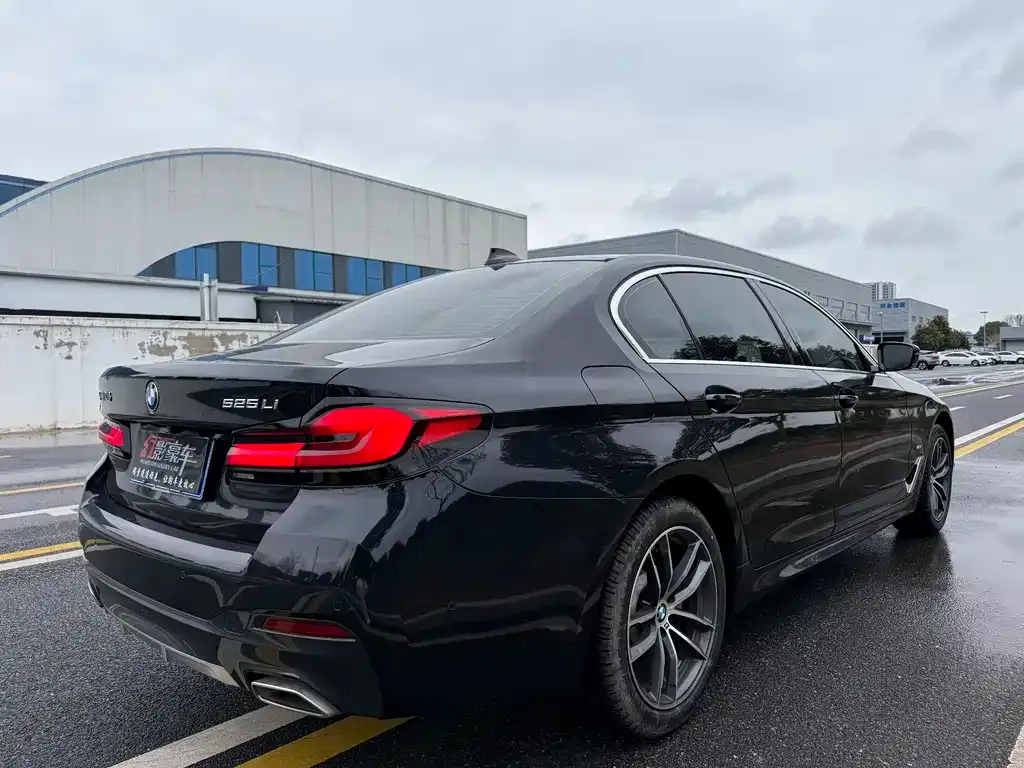 BMW 5 Series 2022 из CN, фото 2